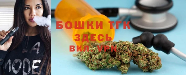 мяу мяу мука Аркадак