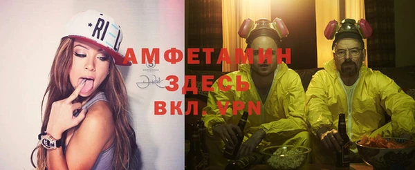 мяу мяу мука Аркадак