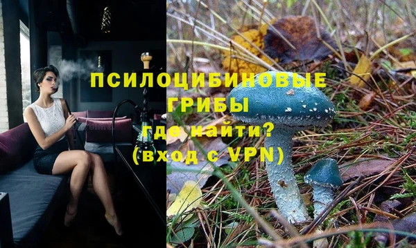 мяу мяу мука Аркадак