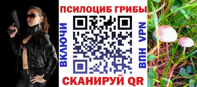 что такое   Салаир  Псилоцибиновые грибы Cubensis 